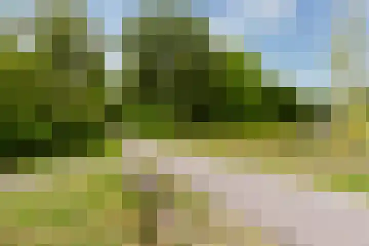 Wijnberg 20 Zoetermeer thumbnail 43