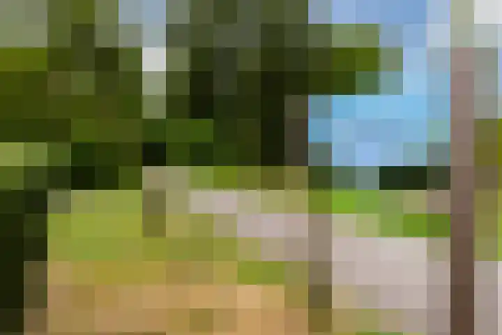 Wijnberg 20 Zoetermeer thumbnail 6