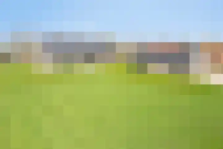 Wijnboomlaan 20 in Gemert