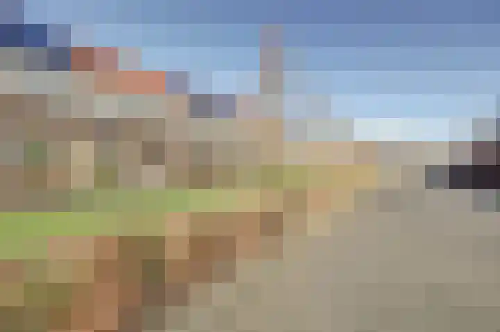 Wijngaard 16 Dronten thumbnail 32