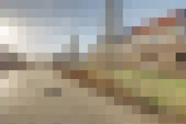 Wijngaard 16 Dronten thumbnail 33