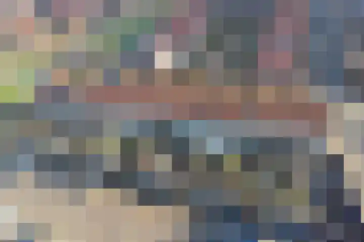 Wijngaard 16 Dronten thumbnail 35