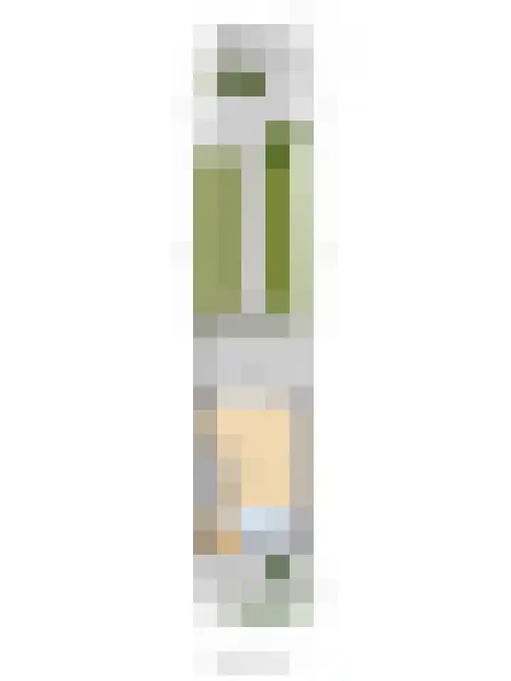 Wijngaard 16 Dronten thumbnail 37