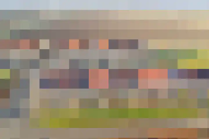 Wijngaard 16 Dronten thumbnail 5