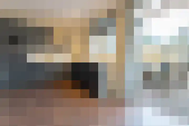 Wijngaard 43 Lelystad thumbnail 6