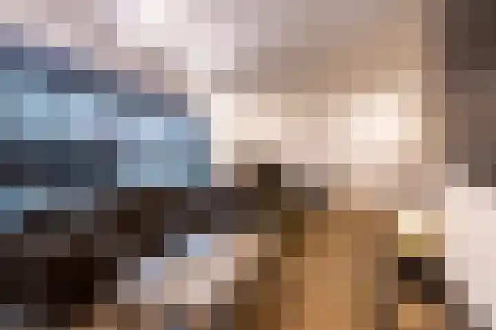Wijningsstraat 4 Putte thumbnail 11