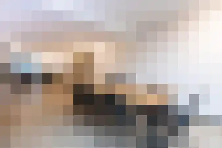 Wijningsstraat 4 Putte thumbnail 12