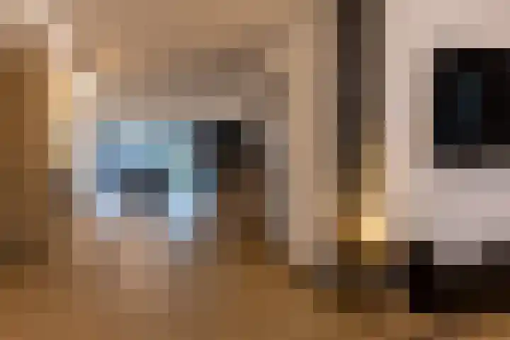Wijningsstraat 4 Putte thumbnail 13