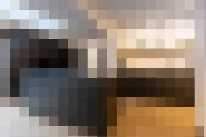 Wijningsstraat 4 Putte thumbnail 16