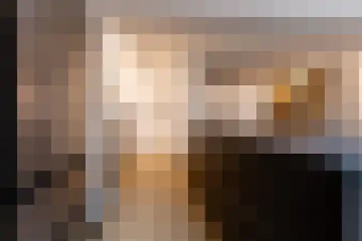 Wijningsstraat 4 Putte thumbnail 19
