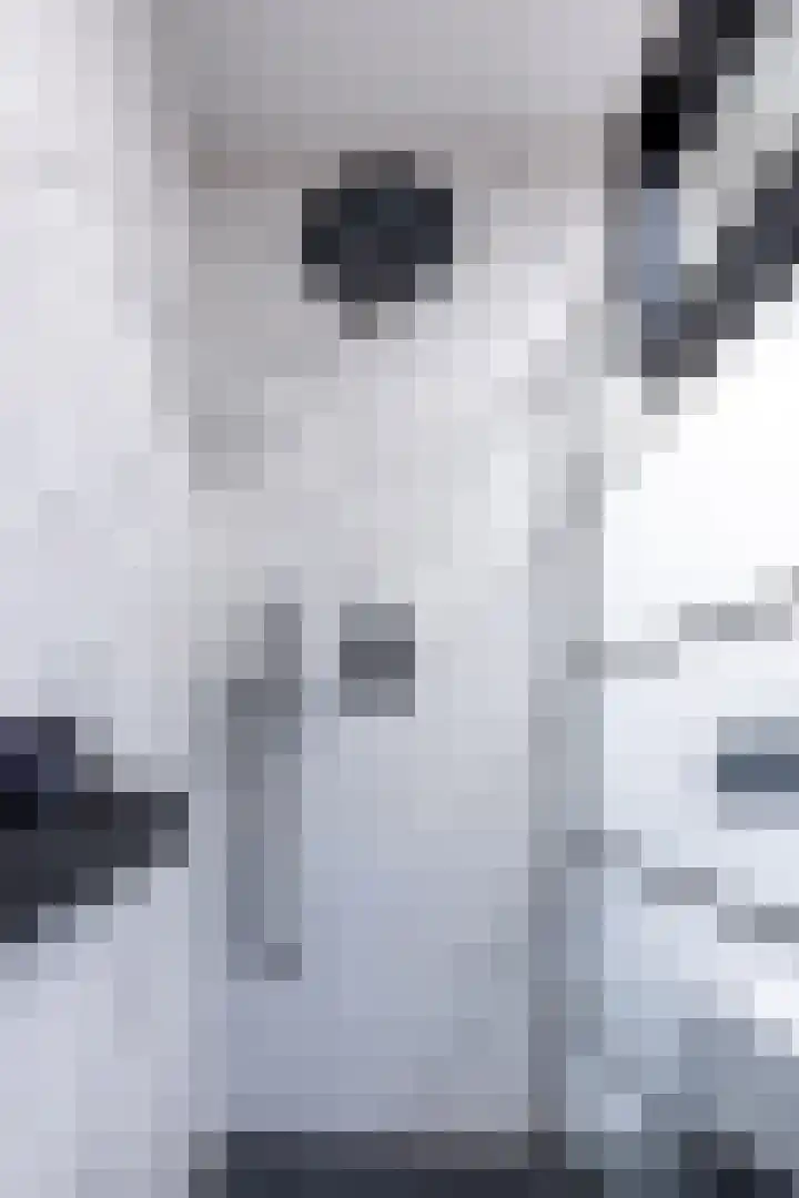 Wijningsstraat 4 Putte thumbnail 27