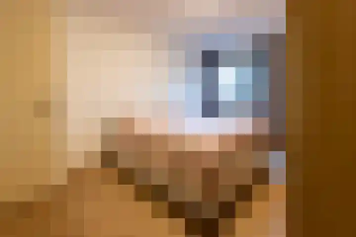 Wijningsstraat 4 Putte thumbnail 31