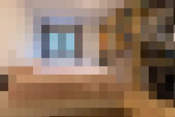 Wijningsstraat 4 Putte thumbnail 33