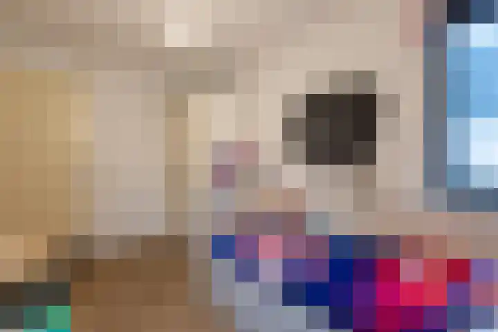 Wijningsstraat 4 Putte thumbnail 36
