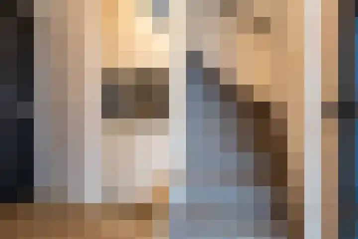Wijningsstraat 4 Putte thumbnail 4