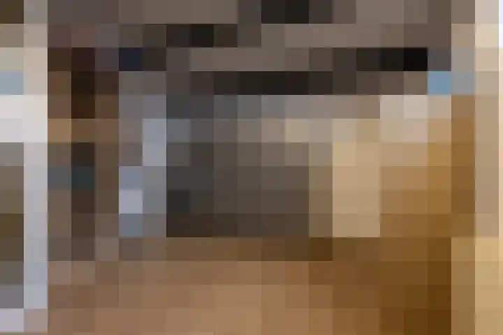 Wijningsstraat 4 Putte thumbnail 45