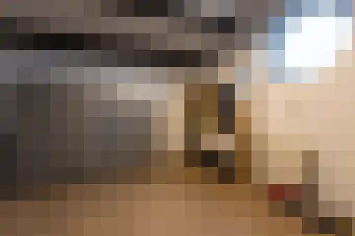Wijningsstraat 4 Putte thumbnail 48