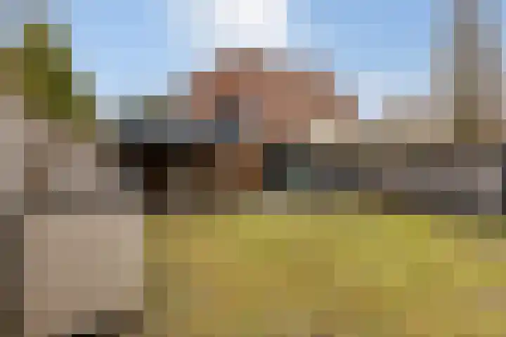 Wijningsstraat 4 Putte thumbnail 52