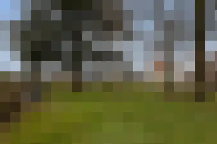 Wijningsstraat 4 Putte thumbnail 60