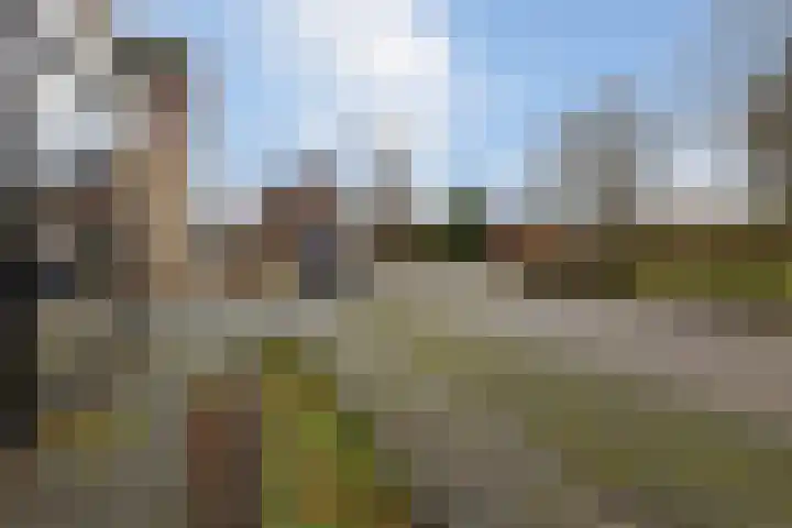 Wijningsstraat 4 Putte thumbnail 61