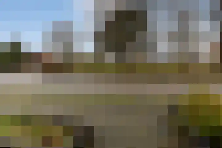 Wijningsstraat 4 Putte thumbnail 62