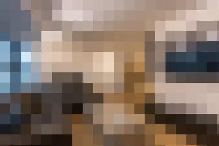 Wijningsstraat 4 Putte thumbnail 9