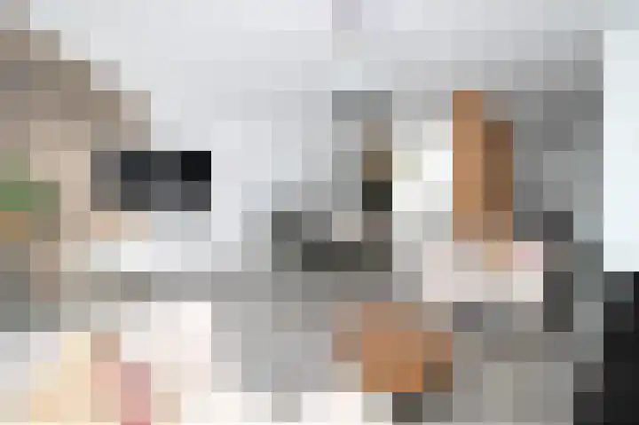 Wijnkade 46 Rotterdam thumbnail 12