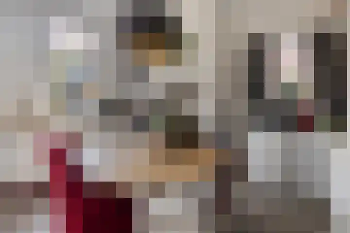 Wijnkamp 36 Goor thumbnail 13
