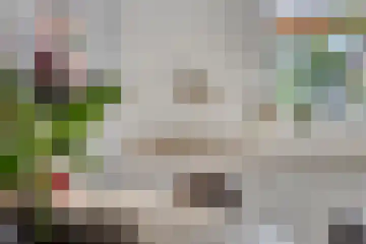 Wijnkamp 36 Goor thumbnail 14
