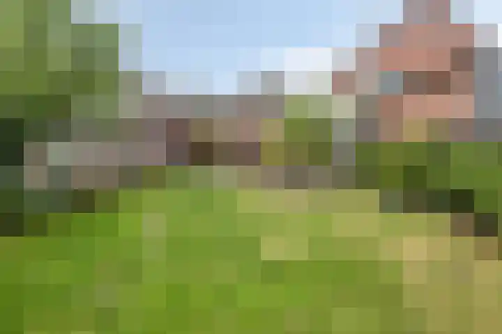Wijnkamp 36 Goor thumbnail 32