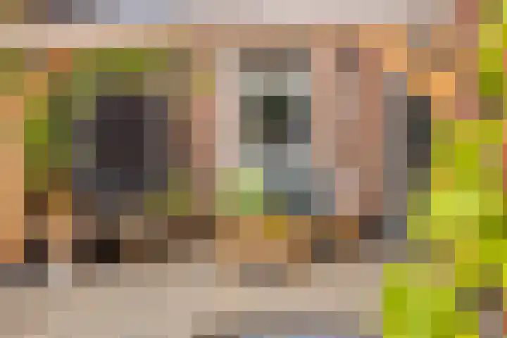 Wijnkamp 36 Goor thumbnail 34