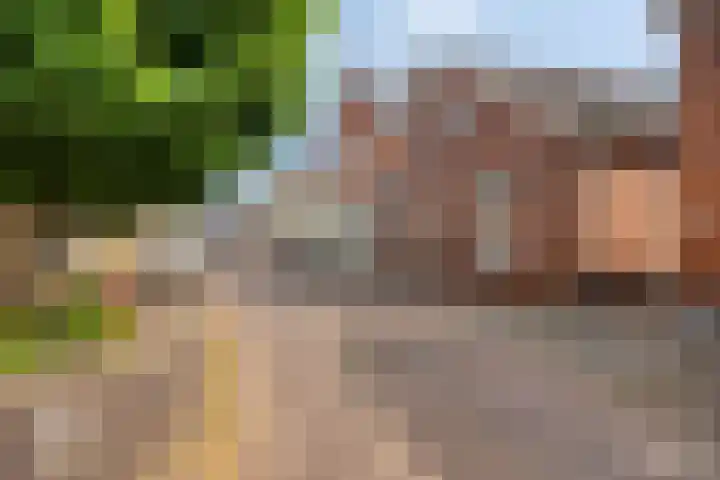 Wijnkamp 36 Goor thumbnail 37
