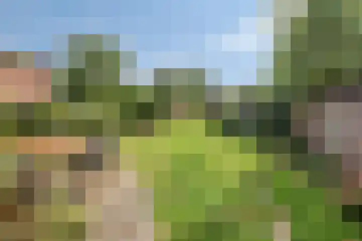 Wijnkamp 36 Goor thumbnail 4
