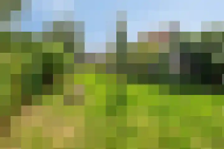 Wijnkamp 36 Goor thumbnail 5