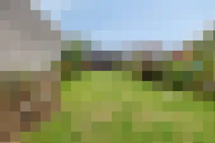 Wijnkamp 36 Goor thumbnail 6