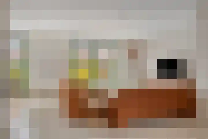 Wijnkers 20 Arnhem thumbnail 10
