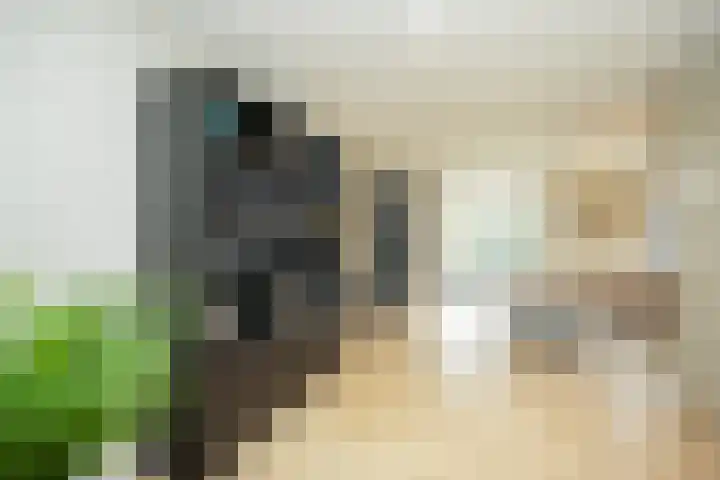 Wijnkers 33 Elst thumbnail 10