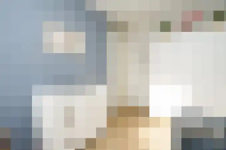 Wijnkers 33 Elst thumbnail 36