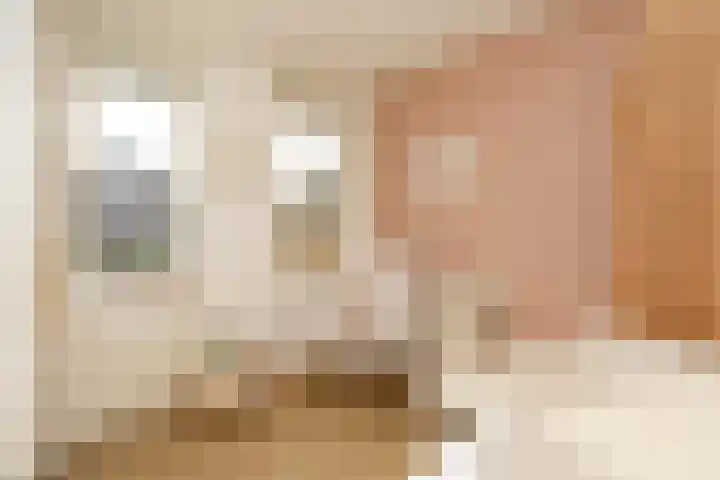 Wijnkers 33 Elst thumbnail 37