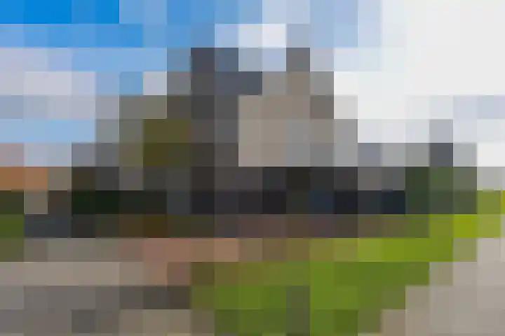 Wijnkers 33 Elst thumbnail 4