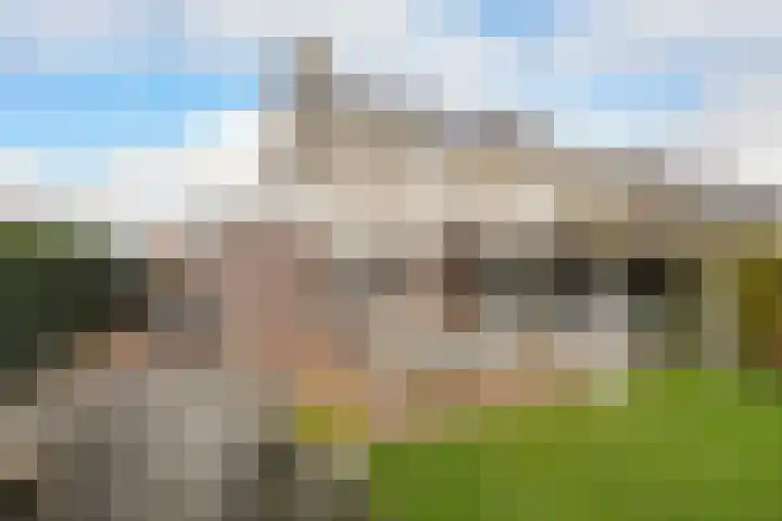 Wijnkers 33 Elst thumbnail 5