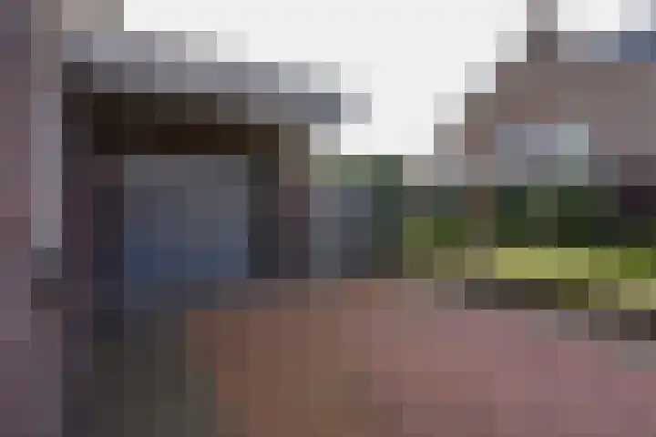 Wijnkers 33 Elst thumbnail 62