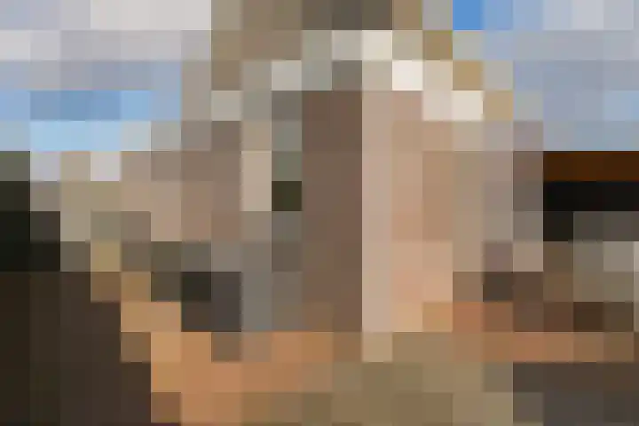 Wijnkers 33 Elst thumbnail 64