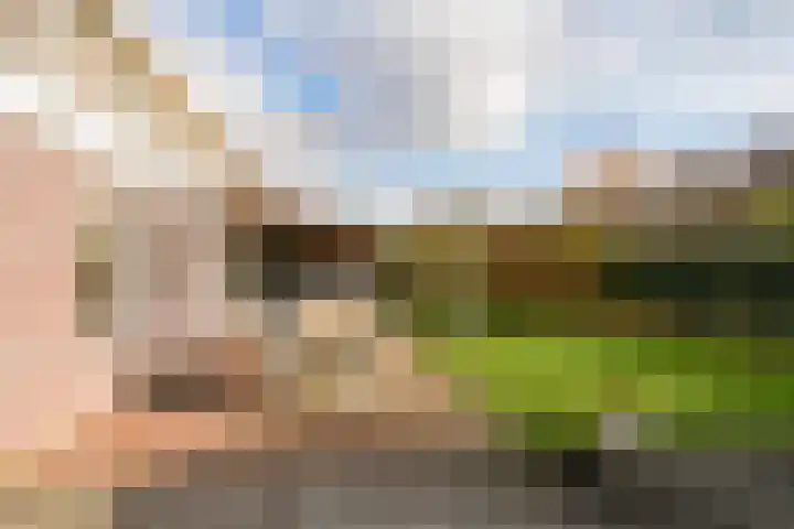 Wijnkers 33 Elst thumbnail 65