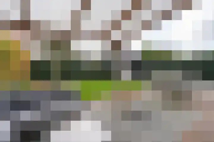 Wijnkers 33 Elst thumbnail 67