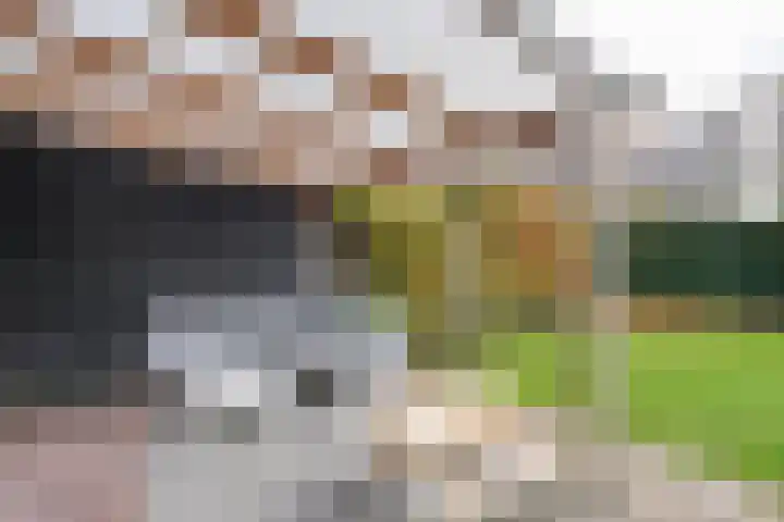 Wijnkers 33 Elst thumbnail 68