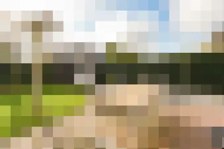 Wijnkers 33 Elst thumbnail 69