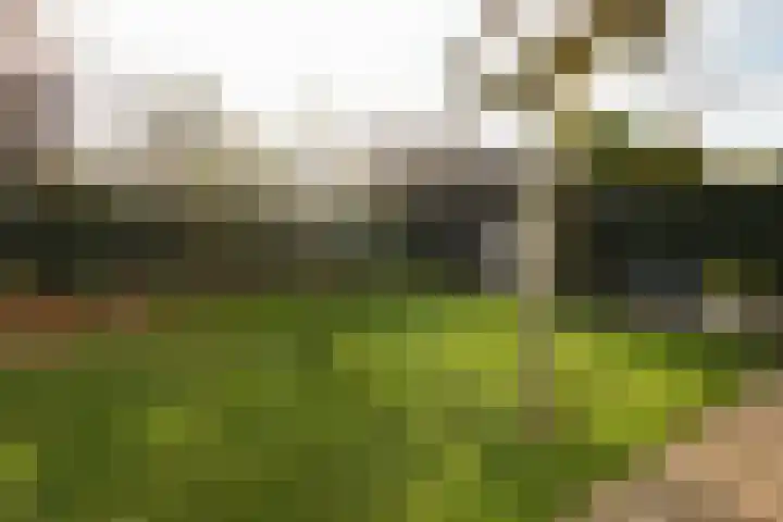 Wijnkers 33 Elst thumbnail 70