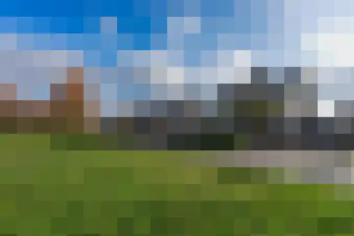 Wijnkers 33 Elst thumbnail 72
