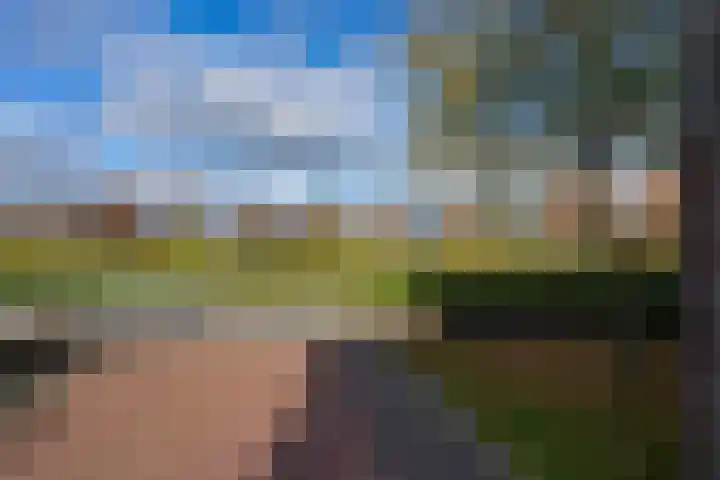 Wijnkers 33 Elst thumbnail 73